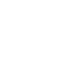 logo salmon guru