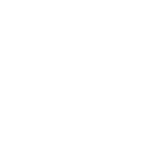logo toschi